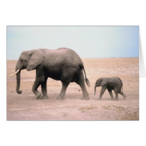 Elephant Mother and Calf Card