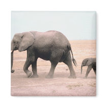 Elephant Mother and Calf Fridge Magnets