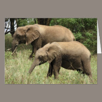 Elephant mother & calf cards