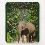 Elephant Mouse Pads