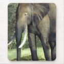 Elephant mousepads by SherryHolderHunt Elephant mousepads