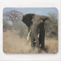 Elephant Mousepad by reddesignhead Elephant Mousepad