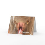 Elephant Mouth Happy Birthday Card