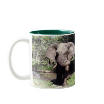 Elephant mugs
