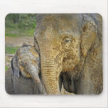 Elephant Newborn Hug Mousepad