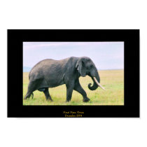 Elephant on the Mara posters