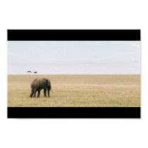 Elephant on the Mara posters
