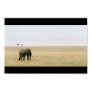 Elephant on the Mara Poster Elephant on the Mara Poster