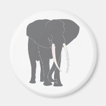Elephant Pachyderm Elephantidae Mammals Animals Magnet