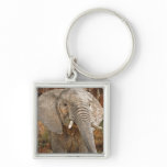 Elephant painting African art Keychain
