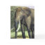 Elephant Painting Card card
