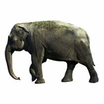 Elephant Acrylic Cut Outs