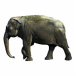 Elephant Acrylic Cut Outs