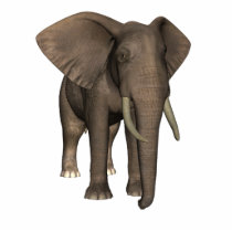 Elephant photo sculptures by lageodesign Elephant photo sculptures