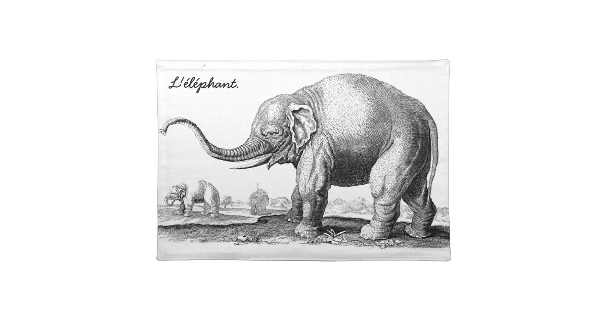 Elephant Placemats Zazzle