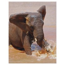 Elephant playing with water customized letterhead