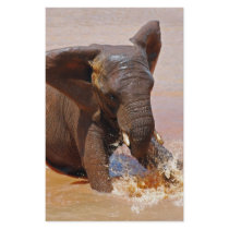 Elephant playing with water stationery design
