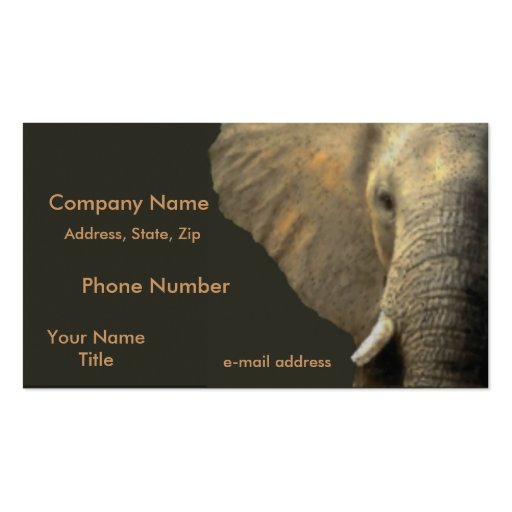 Elephant Portrait Business Card (front side)