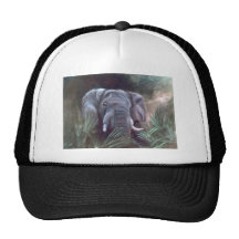 Elephant Portrait Hat