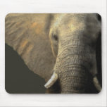 Elephant Portrait Mouse Pad