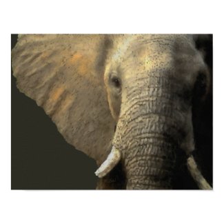 Elephant Portrait Posters print