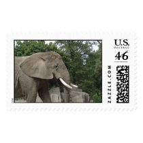 elephant postage