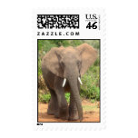 Elephant postage