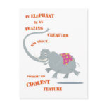 Elephant postcard