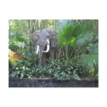 Elephant postcard