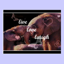 Elephant Postcard postcards