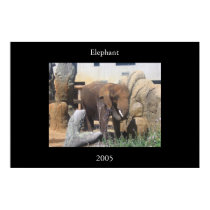 Elephant posters by jamielyn2204 Elephant posters