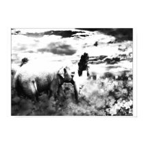 elephant posters by HAJenkins elephant posters