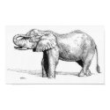 Elephant posters