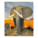 Elephant Poster posters by imperfectiomism Elephant Poster posters