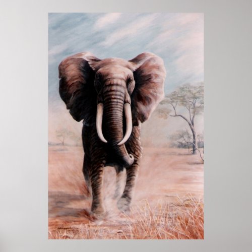 Elephant print print