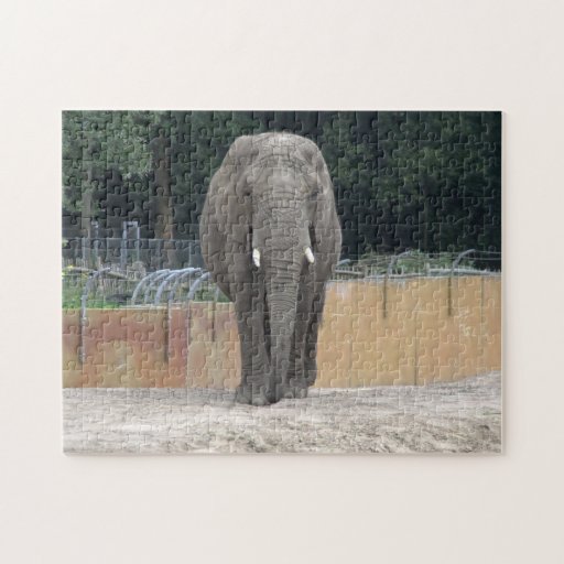 Elephant Puzzle | Zazzle