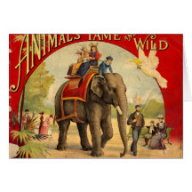 Elephant Red Book Cards