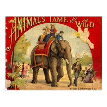 Elephant Red Book Postcard