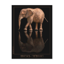 Elephant Reflection Postcard
