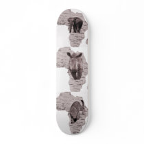 ELEPHANT,RINO,AND TIGER skateboards