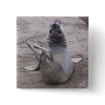 Elephant Seal buttons