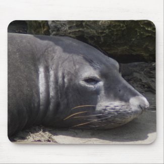 Elephant seal mousepad mousepad