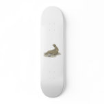Elephant Seal Skate Boards