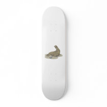 Elephant Seal Skate Boards