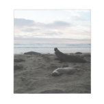 Elephant Seals at Piedras Blancos Beach Note Pad