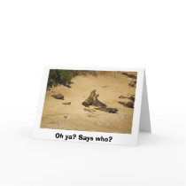 Elephant Seals Establish Who is the Alpha Male cards by pshaw_photo Elephant Seals Establish Who is the Alpha Male cards