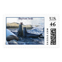 Elephant Seals postage