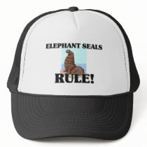 ELEPHANT SEALS Rule! hats by AnimalShirts ELEPHANT SEALS Rule! hats