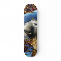 Elephant Seals Seaweed skateboards by lifesphere Elephant Seals Seaweed skateboards