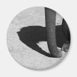 Elephant shadow magnets